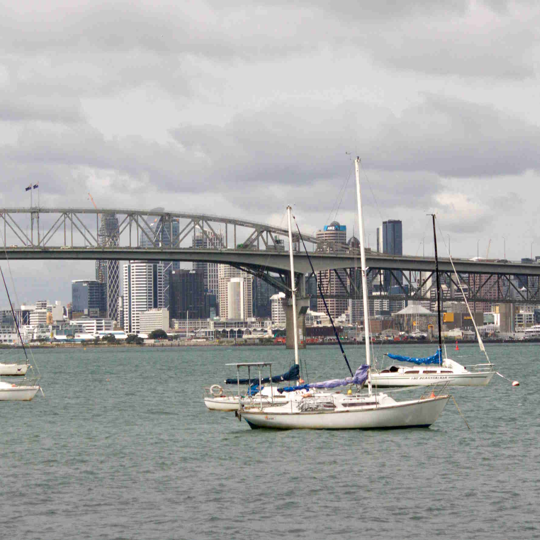 Central Auckland Skyline
